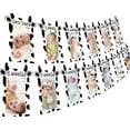 thumbnail image 7 of 13PCs Cow 12 Month Photo Banner - 1st Birthday Baby Banner for Newborn to 12 Months, Cow Print Birthday Party Decorations, Farm Barnyard Cowboy Cowgirl First Birthday Party Supplies, 7 of 7