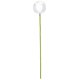 thumbnail image 1 of Adorno colgante Vickerman en forma de bola plateada de 8 cm x 46 cm, 1 of 3