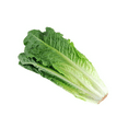 thumbnail image 5 of Fresh Romaine Lettuce Hearts 3 Count, Each, 5 of 7