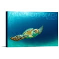 thumbnail image 1 of Panama City Beach, Florida - Sea Turtle - Lantern Press Photography (36x24 Gallery Wrapped Stretched Canvas), 1 of 8