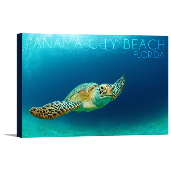 Panama City Beach, Florida - Sea Turtle - Lantern Press Photography (36x24 Gallery Wrapped Stretched Canvas)