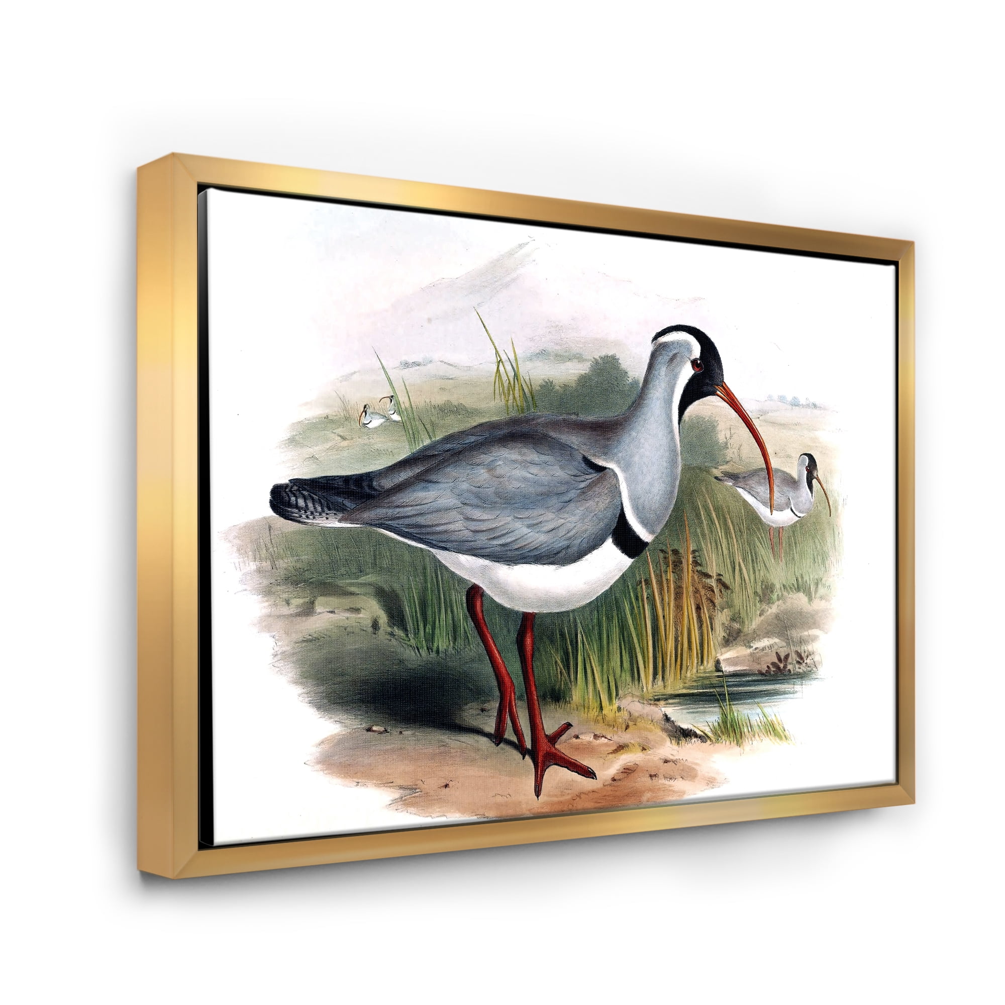 Designart 'Vintage Countryside Birds In Wild' Farmhouse Framed Canvas Wall Art Print