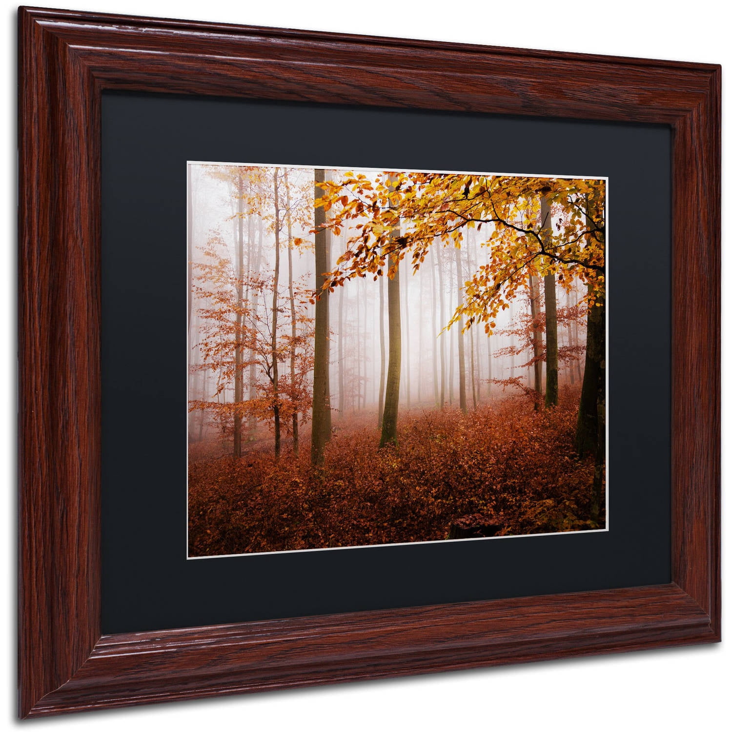 Trademark Fine Art "Breathe Me" Canvas Art by Philippe Sainte-Laudy Black Matte, Wood Frame