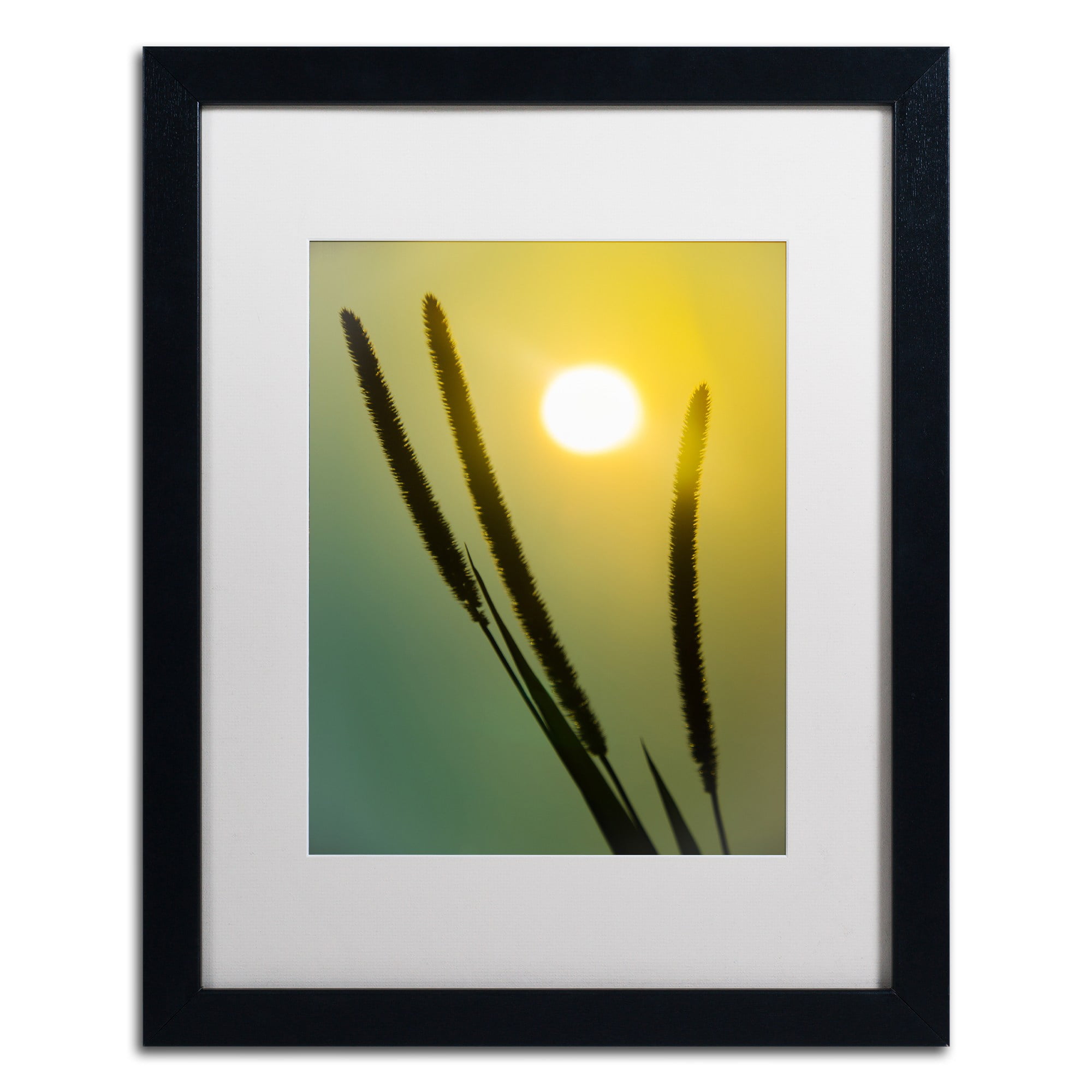 Trademark Fine Art 'Steam Train with Autumn Foliage' Canvas Art by PIPA Fine Art, White Matte, Wood Frame