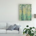 thumbnail image 3 of Trademark Fine Art 'The Light in the Trees I' Canvas Art by Jennifer Goldberger, 3 of 4