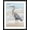 Black Frame, variant on Art.com Beach Heron II Art Print by Ethan Harper, White Frame Wall Art, 32" x 40"