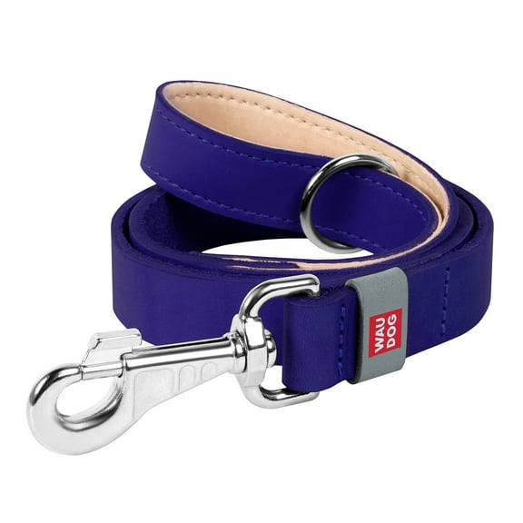 WAUDOG Classic Design Leather Dog Leash for Puppy Small Medium and Large Dogs - Boy & Girl Leather Dog Collar | Special Design Leather Leash for Training & Walking Cute Small Medium Large Dog - Purple