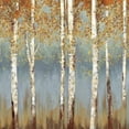 thumbnail image 3 of Pearce, Allison 12x12 Black Modern Framed Museum Art Print Titled - Falling Embers II - Mini, 3 of 5