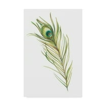 Trademark Fine Art 'Watercolor Peacock Feather I' Canvas Art by Ethan Harper