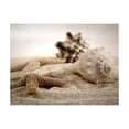 thumbnail image 3 of Tiptophomedecor Landscape Wallpaper Wall Mural - Beach And Shell, 3 of 4