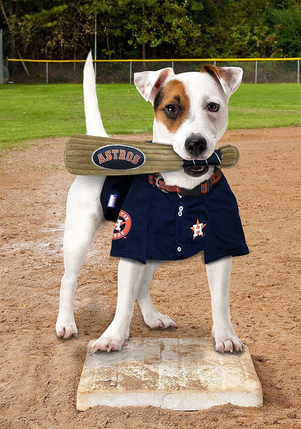 Pets First MLB Houston Astros BAT TOY for DOGS & CATS. 29 MLB Teams available. - Plush PET TOY with inner SQUEAKER. Officially Licensed Baseball BAT.
