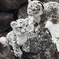 thumbnail image 4 of Snow Leopard Stuffed Animals Plush Toy, Stuffed Snow Leopard Plush White Leopard Plushies, Realistic Stuffed Animals, 4 of 7