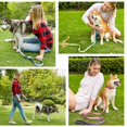 thumbnail image 2 of Nylon Adjustable Dog Collar Leash Lead Pet Cat Dog Collar Traction Leash Suitable for Small Large Dogs Bulldog Pugs Beagle, 2 of 5
