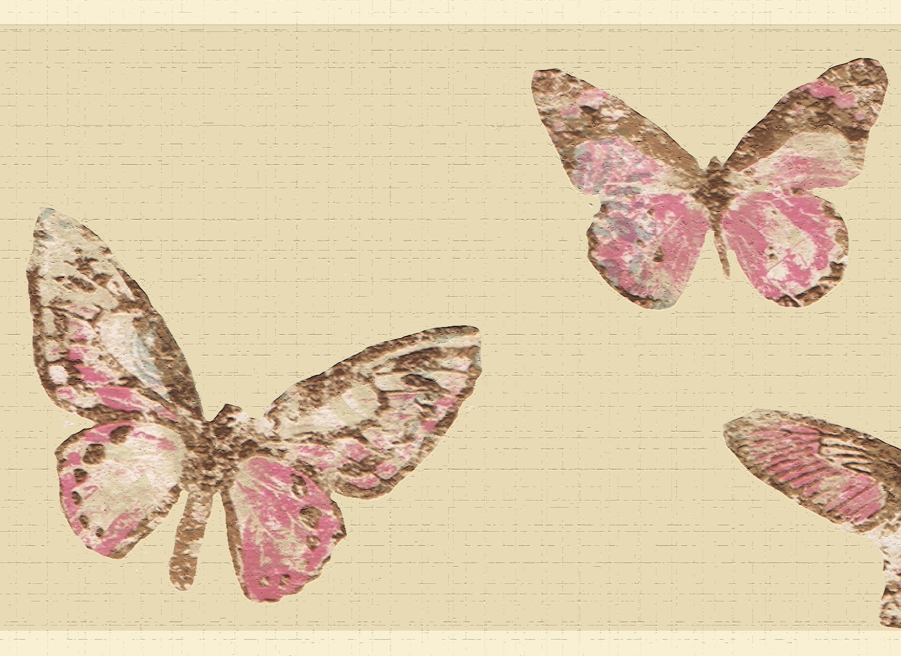 57 Butterfly Border Frames ideas in 2023  butterfly borders and frames  boarders and frames