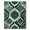 Green, Pattern 13, variant on ODIKA 4' x 6' Machine Washable Non-Slip Area Rug, oriental paisley High Traffic Rug, Green, 974569