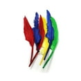 thumbnail image 2 of Charles Leonard Quill Feathers, 10" & 12", 6 Per Pack, 12 Packs, 2 of 2