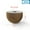 50#, variant on Mosiee 1Pc M10 Mushroom Grinding Head Diamond Brazed Polishing Wheel Inner Circle Stones Engraving Marble Cobblestone Flowerpot Arc 100#