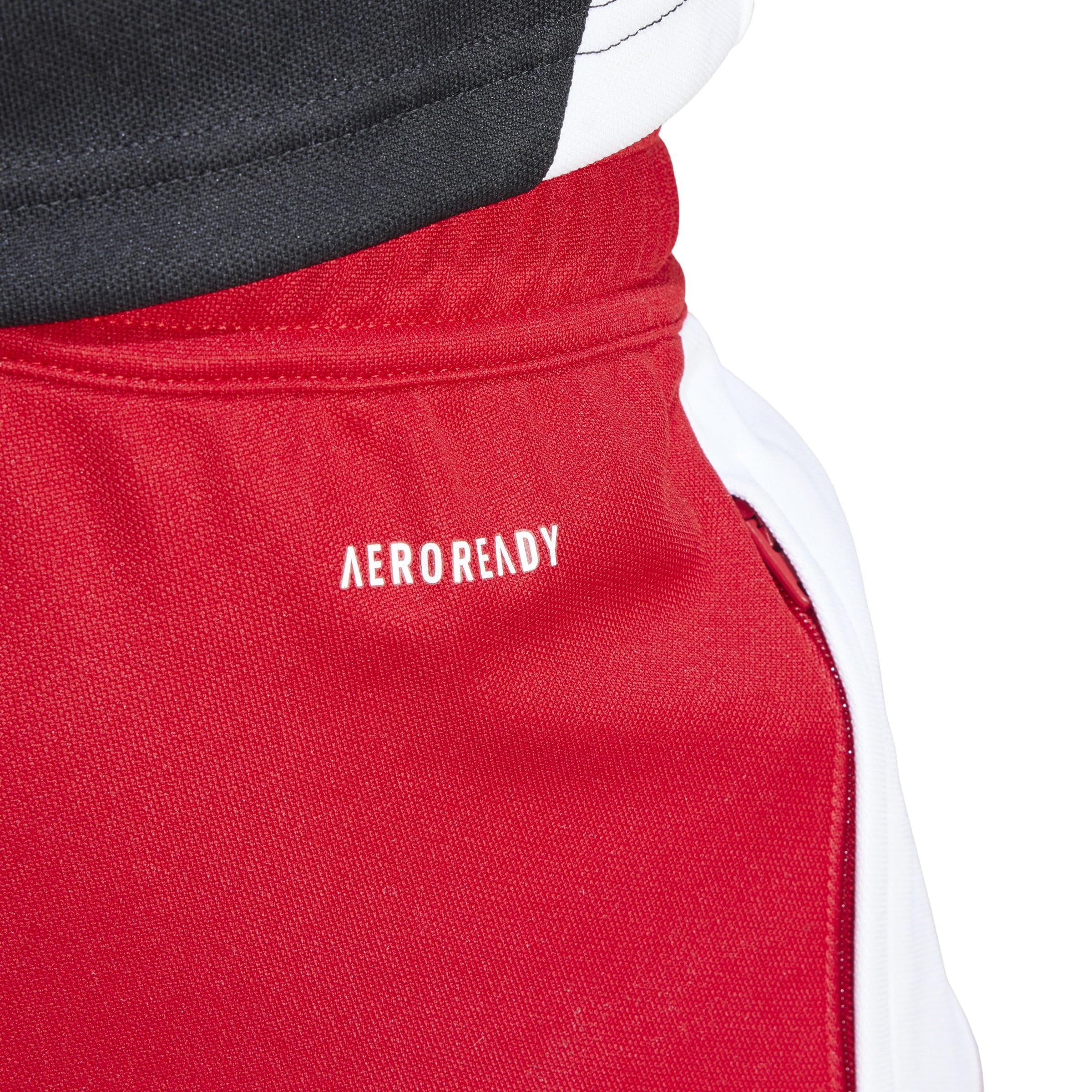 adidas Men's Tiro 24 Training Pants, Team Power Red/White