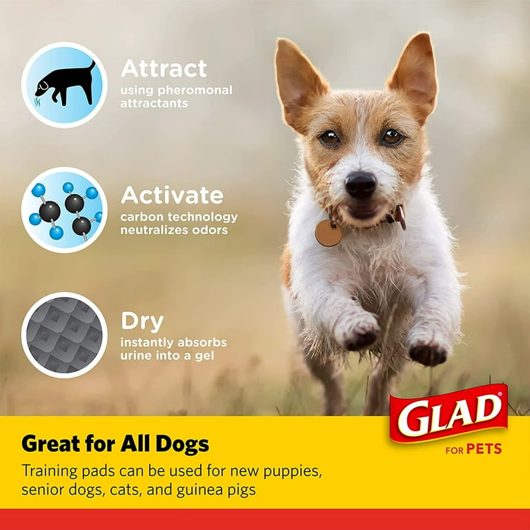 Glad Activated Carbon Puppy Pee Trainer Pads Leak Resistant 23in x 23in 100 Count Walmart