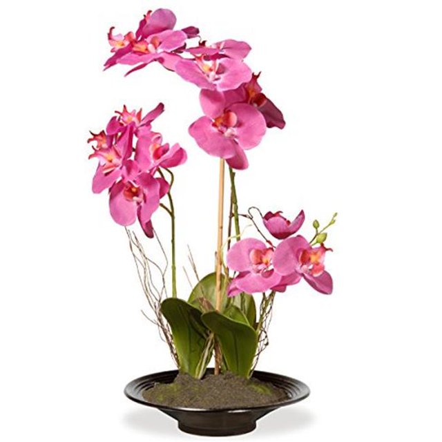 National Tree NF36-5379P 1.94 lbs Orchid Flowers - Pink