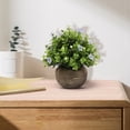 thumbnail image 4 of Artificial Eucalyptus Topiary Plant, Faux Cream White Greenery in Dark Gray Pot, Mini Table Fake Plant for Home, Office, Desk Decoration, Centerpiece and Gift, 4 of 7