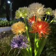 thumbnail image 4 of Solar Garden Llights - Led Flowers Outdoor Garden Decorative, 5 Heads Waterproof Colorful Solar Power Lights, 4 of 8