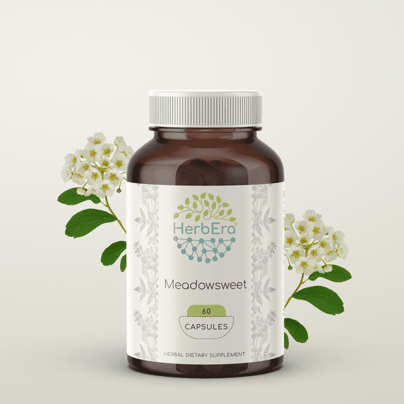 HerbEra Meadowsweet Capsules, Herbal Dietary Supplement for Digestive Support, Meadowsweet (Filipendula ulmaria) Dried Herb Capsules, Natural, 60 Capsules