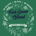 thumbnail image 2 of Aveeno Scalp Soothing Fresh Greens Blend Shampoo, 12 fl. Oz - 2 Pack, 2 of 5