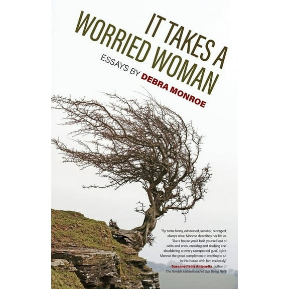 Crux: The Georgia Literary Nonfiction It Takes a Worried Woman: Essays, (Paperback)