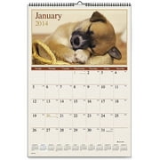Visual Organizer Lg Puppies Monthly Wall Calendar