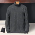 thumbnail image 5 of Nouveaux Chandails à Col Roulé pour Hommes Automne Tricoté Rayé Mode Urbaine Chaud à Manches Longues Pull-Over Couleur Unie Style Basique Décontracté, 5 of 5