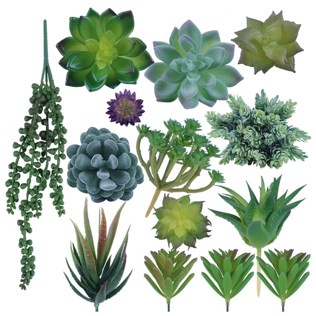 Inteprter Accesorios para fotos microsuculentas Plantas simuladas Multifuncional Artificial Realista Decoraciones de bonsái de buen aspecto SET0824 Flores artificiales SET0867 paquete de 14 Inteprter HA060204-06B