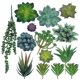 thumbnail image 1 of Bewildely Suculentas falsas, accesorios para fotos, plantas decorativas simuladas, bonsái, decoraciones para el hogar, patios, césped, maceta, SET0836 Flores artificiales SET0867 paquete de 14 Bewildely HA060204-06B, 1 of 6