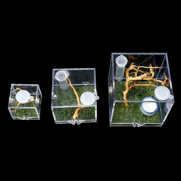  crapelles Jumping Spider Tiny Box, Micro Habitat, Small Pet  Insect Breeding Box, (1.3x1.3x1.4 Inches) 360 Degree Transparent Reptile  Cage, Mini Acrylic Case, Little Enclosure Accessories : Pet Supplies