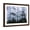 Brown Frame, variant on Art.com Silhouette of Trees with Fog in the Forest, Douglas Fir, Hemlock Tree, Olympic Mountains Photographic Print, 16" x 12"