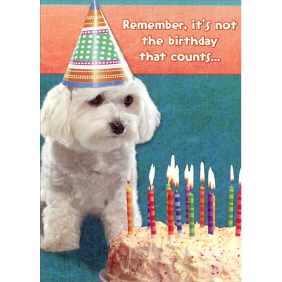 Designer Greetings White Dog with Party Hat and Cake Funny : Humorous Birthday Card