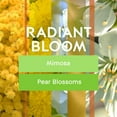 thumbnail image 6 of Glade Automatic Spray Refill, Radiant Bloom, Scented Air Freshener for Home and Bathroom, 6.2 Oz, 6 Pack, 6 of 7