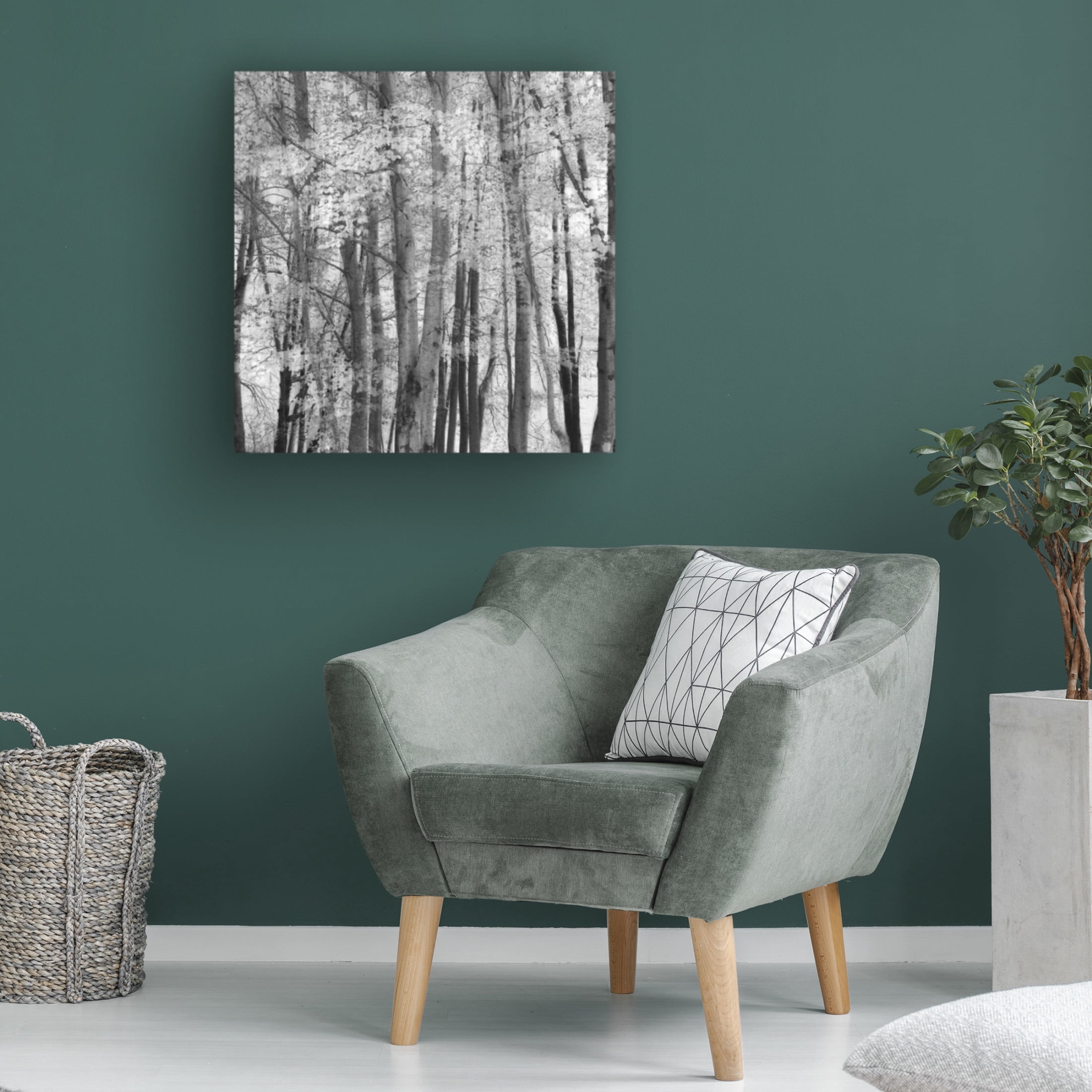 Trademark Fine Art Piero Consoli El Bosque Canvas Wall Art