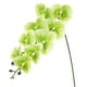 thumbnail image 1 of Uxcell 1-Pack Flores de Orquídea Artificial 9 Pétalos Grandes 37 Pulgadas Ramo de Seda Phalaenopsis Verde Oscuro Falsas Orquídeas para Hogar/Boda, 1 of 1
