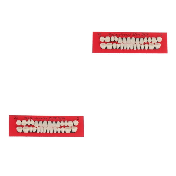 Vogacara 28 unids/set modelo de de resina dentaduras duraderas postizos universales Resi No.1 2piezas