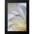 thumbnail image 2 of Mahan, Kathy 17x24 Black Modern Framed Museum Art Print Titled - White Magnolia, 2 of 5
