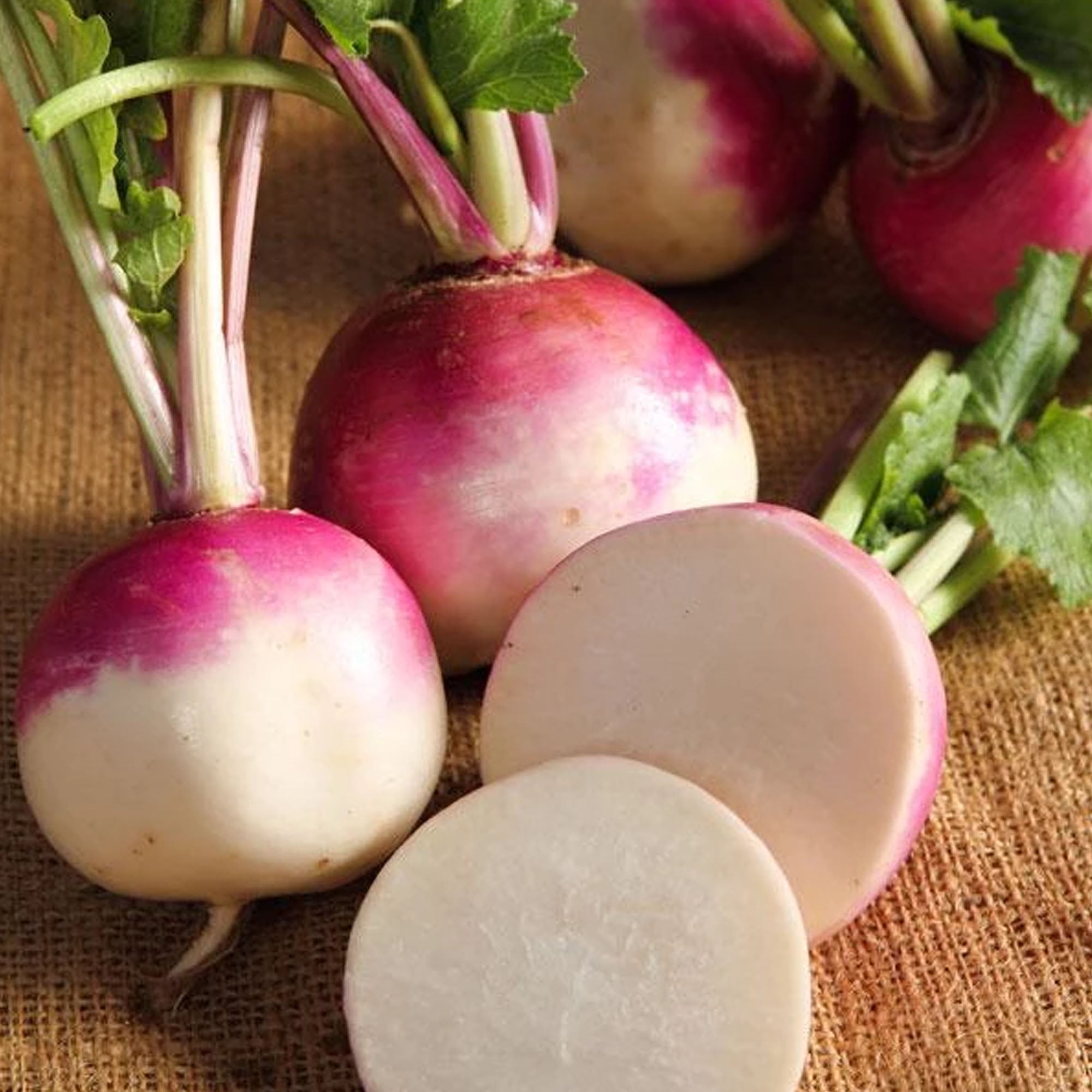 Purple Top White Globe Turnip 2 g 650 Seeds Heirloom, Open Pollinated, NonGMO, Farm