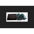 thumbnail image 1 of Juego de Luces Solares Micro Qualarc 400 LED Blanco Frío 41 m, 1 of 1