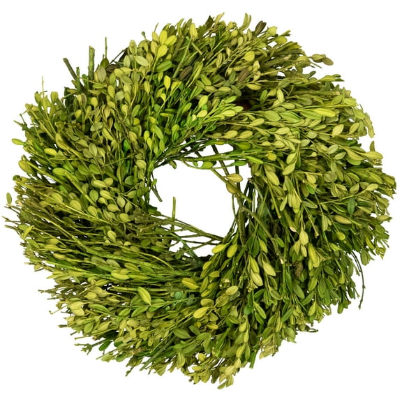 Northlight Green Foliage Artificial Spring Wreath - 10" - Unlit