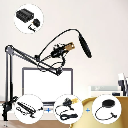 Pro Co Ameriquad Microphone Cable - Excelvan BM-800 Desk Condenser Microphone Mic Bundle with Pop Filter Wind Screen, Arm Stand with XLR Male to XLR Female Microphone Cable for Studio Recording (Blue)