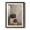 Barnwood Walnut, variant on Pussywillows & Spring - Premium Framed Print - Distressed Barnwood Frame - Ready to Hang