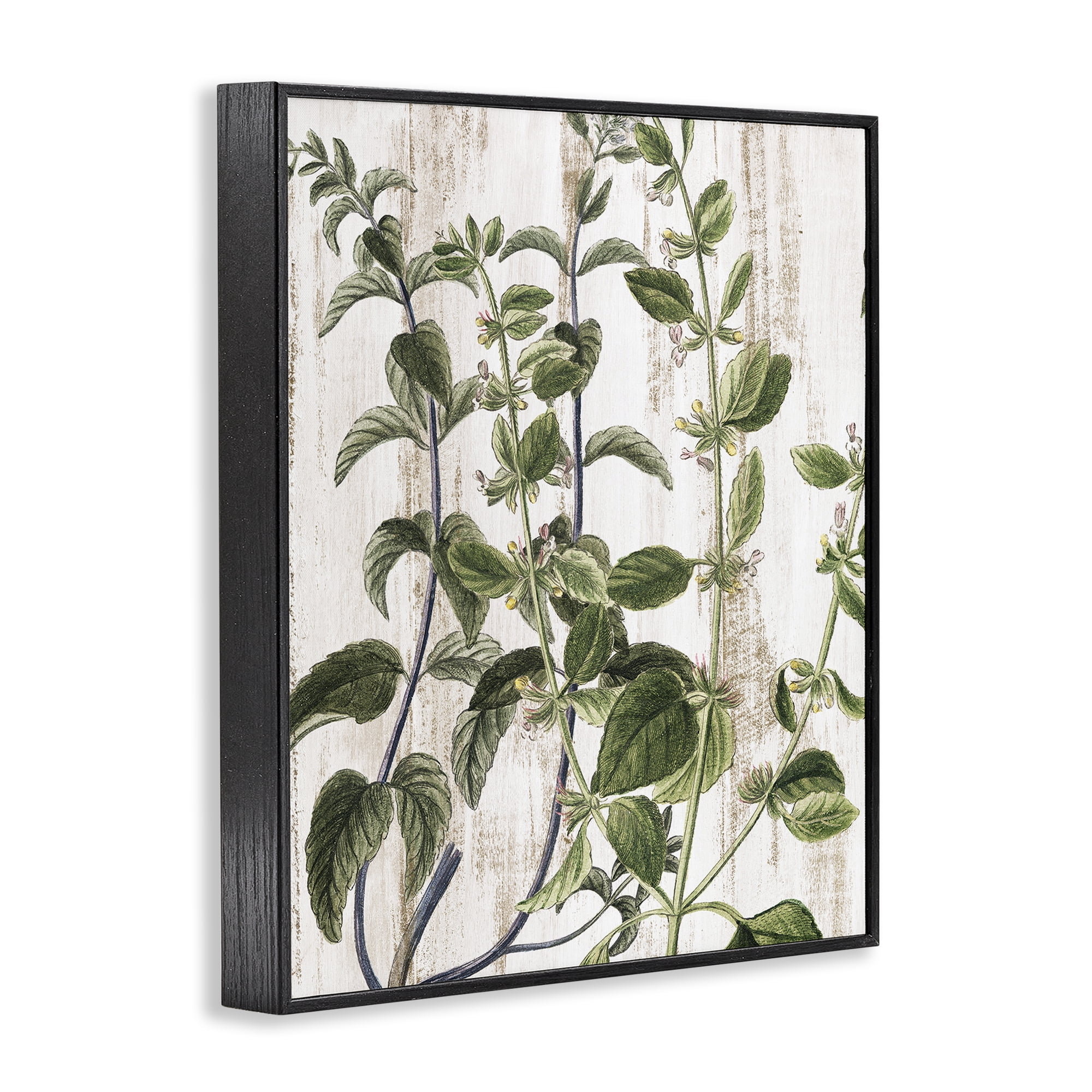 Stupell Industries Rustic Botanical Vines Botanical & Floral Painting Black Framed Art Print Wall Art, 24 x 30