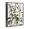 thumbnail image 4 of Stupell Industries Rustic Botanical Vines Botanical & Floral Painting Black Framed Art Print Wall Art, 24 x 30, 4 of 10