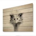 thumbnail image 2 of Designart "Africa Ostrichs beauty II" Animals Print on Natural Pine Wood, 2 of 5