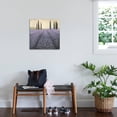 thumbnail image 3 of Art.com Lavender Horizon Detail Stretched Canvas Print Wall Art by James Wiens, 24" x 24", 3 of 4